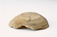 FileNo.162-175.jpg