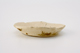 FileNo.162-180.jpg