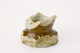 FileNo.162-216.jpg