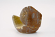 FileNo.162-221.jpg