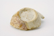 FileNo.162-233.jpg