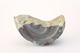 FileNo.162-264.jpg
