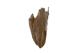FileNo.162-268.jpg