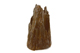 FileNo.162-269.jpg