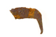 FileNo.162-279.jpg