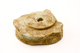 FileNo.162-292.jpg