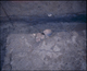 FileNo.157-002.jpg