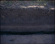 FileNo.157-005.jpg