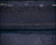 FileNo.157-006.jpg