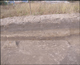 FileNo.157-008.jpg
