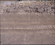 FileNo.157-017.jpg