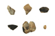 FileNo.157-040.jpg