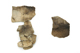 FileNo.157-045.jpg