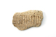 FileNo.157-051.jpg