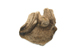 FileNo.157-055.jpg