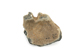 FileNo.157-056.jpg