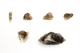 FileNo.157-091.jpg