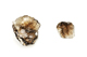 FileNo.157-093.jpg