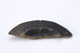 FileNo.166-089.jpg