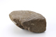 FileNo.166-191.jpg
