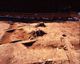 FileNo.166-217.jpg