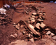 FileNo.166-218.jpg