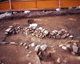 FileNo.166-220.jpg