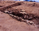 FileNo.166-222.jpg