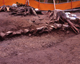 FileNo.166-224.jpg