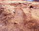FileNo.166-228.jpg