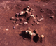 FileNo.166-231.jpg