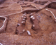 FileNo.166-232.jpg