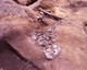 FileNo.166-233.jpg