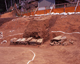 FileNo.166-239.jpg