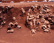 FileNo.166-241.jpg