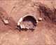 FileNo.166-244.jpg