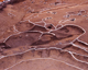 FileNo.166-245.jpg