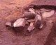 FileNo.166-247.jpg