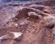 FileNo.166-248.jpg