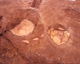 FileNo.166-249.jpg