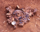 FileNo.166-252.jpg