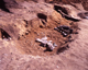 FileNo.166-253.jpg