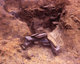 FileNo.166-254.jpg