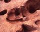FileNo.166-256.jpg