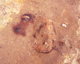 FileNo.166-257.jpg