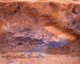 FileNo.166-260.jpg