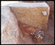 FileNo.163-010.jpg