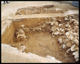 FileNo.163-012.jpg