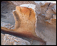 FileNo.163-021.jpg