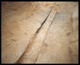 FileNo.163-025.jpg